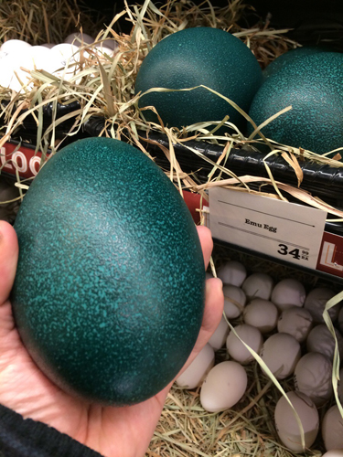 画像 アメリカのスーパーマーケットではエミューの卵が売っているらしい どんな味なの ツイナビ ツイッターの話題まとめ