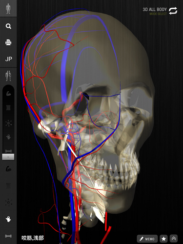 死体は嘘を! 生体をMRI撮影したデータから3D人体模型を世界初リリース