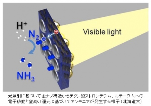 可視光でアンモニア人工光合成に成功！金微粒子のもつ表面プラズモン共鳴