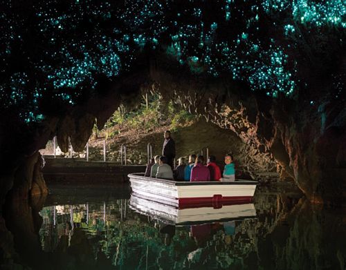 Waitomo Glowworm Caves 1516 NZ Boat with Glowworms at Exit