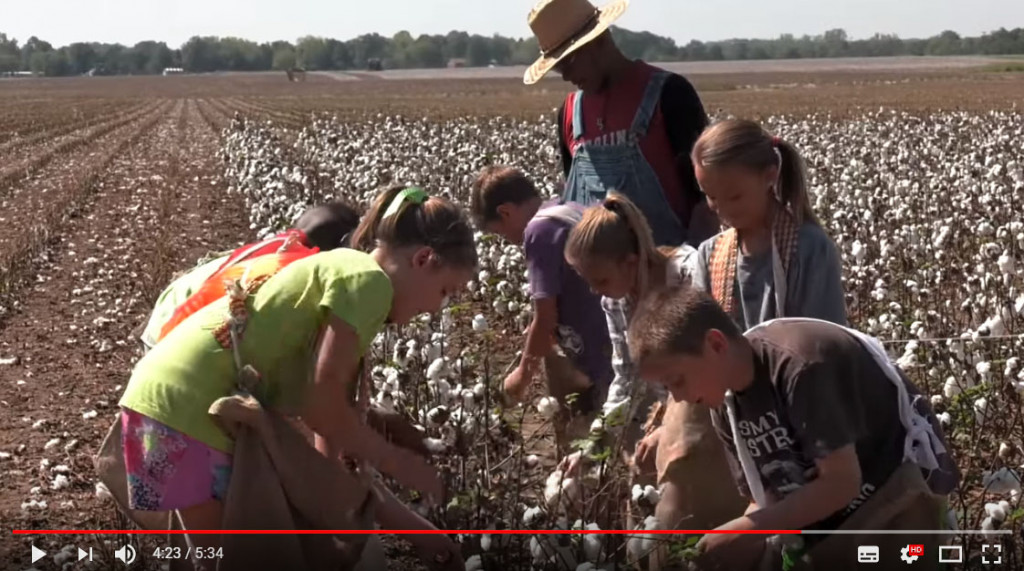 アメリカで小学校の綿摘み体験学習を巡り論争 黒人奴隷の労働歌を歌わせるのは適切か ガジェット通信 Getnews