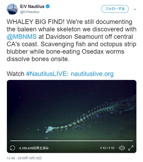 動画 クジラの死骸に群がる深海の腐肉食生物たち 連載jp