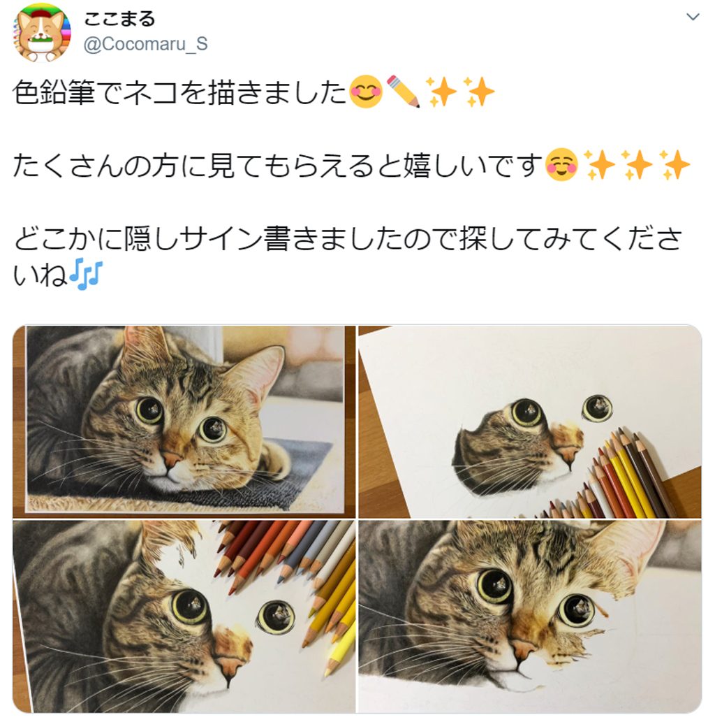 色鉛筆だけで描かれたリアルすぎるニャンコに驚き 隠しサインにも注目 連載jp