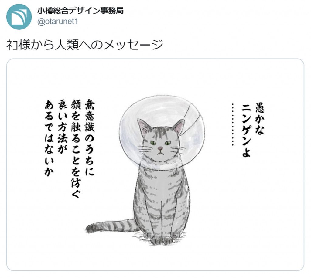 コロナと戦う人類へ 猫様からありがたいお言葉 仰るとおり さすが猫様 と関心集まる 連載jp