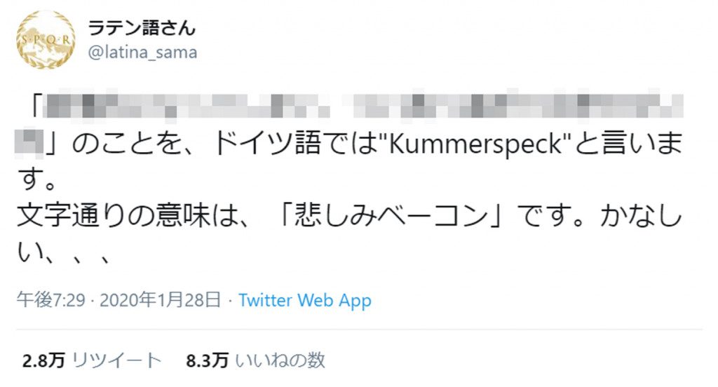 ドイツ語で Kummerspeck 悲しみベーコン ってどんな意味 まさに私 悲しすぎる との声 Ameba News アメーバニュース