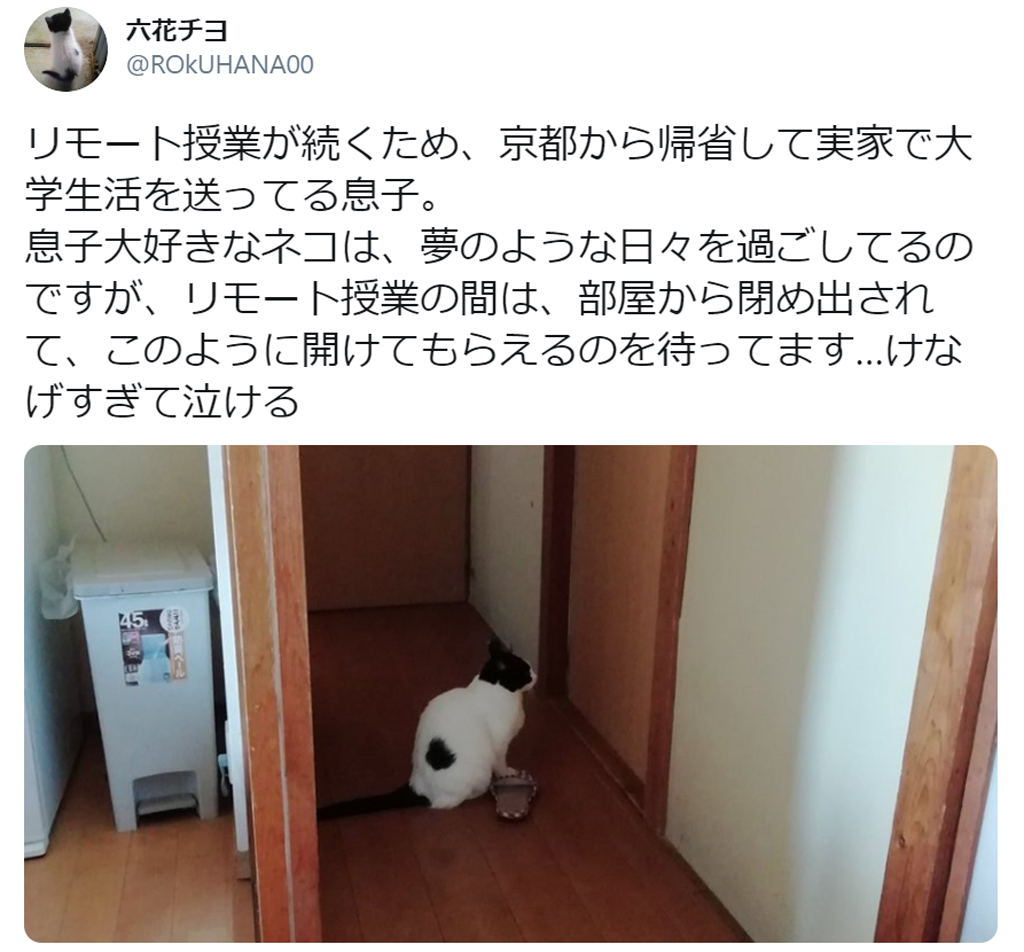 けなげすぎて泣ける 息子大好きなニャンコが部屋の前で待ち続ける姿が愛おしい 連載jp