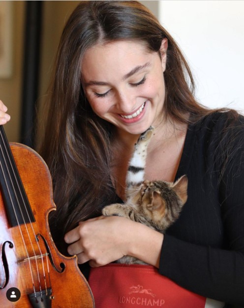 violincat00.jpg