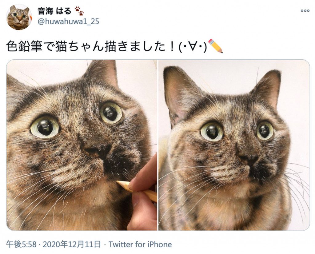 かわいすぎる猫の写真かと思いきや 実はこれ色鉛筆で描いたイラストなんです 無料 ガジェット通信ブロマガ ガジェット通信 ガジェット通信編集部 ニコニコチャンネル バラエティ