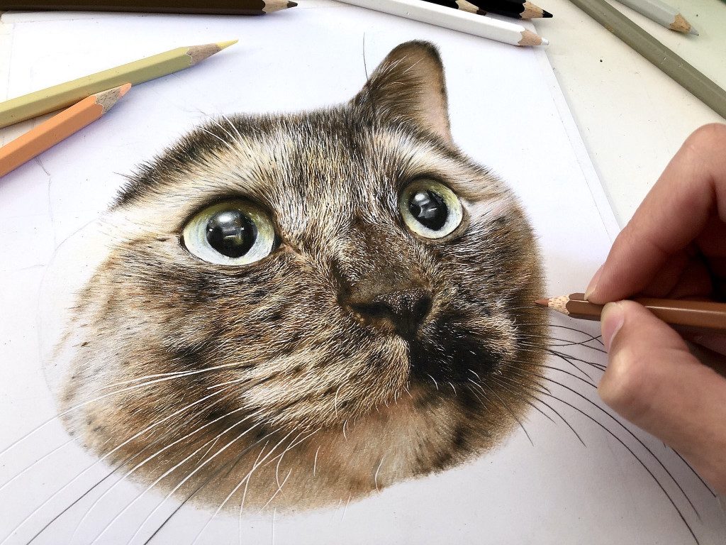 かわいすぎる猫の写真かと思いきや 実はこれ色鉛筆で描いたイラストなんです ガジェット通信 Getnews