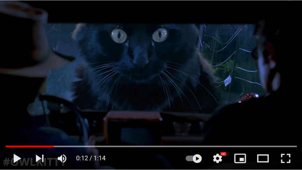 ティラノサウルスがネコになった ジュラシック パーク のパロディ動画 この動画は映画館で観たい 車の上から覗き込むシーンは怖い ガジェット通信 Getnews
