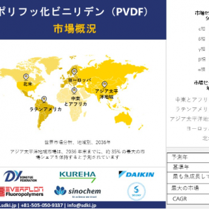 ポリフッ化ビニリデン（PVDF）市場 調査