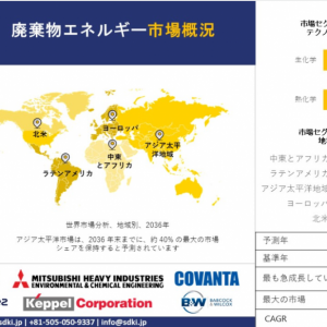 Global Waste To Energy Market