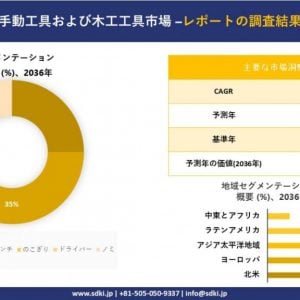 手動工具および木工工具市場 調査