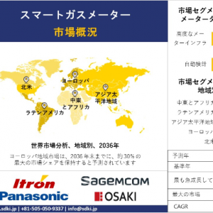 スマートガスメーター市場の動向分析と将来予測：地域概要