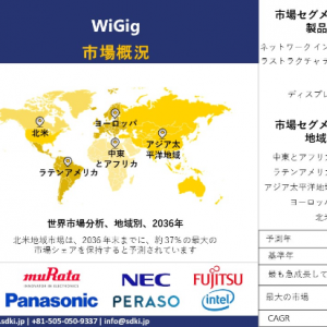 wigig-market