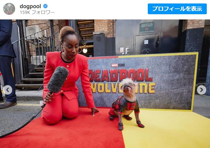 『デッドプール＆ウルヴァリン』に出演した「イギリスで一番醜い犬」ペギーに注目集まる