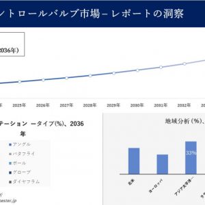 コントロールバルブ市場調査