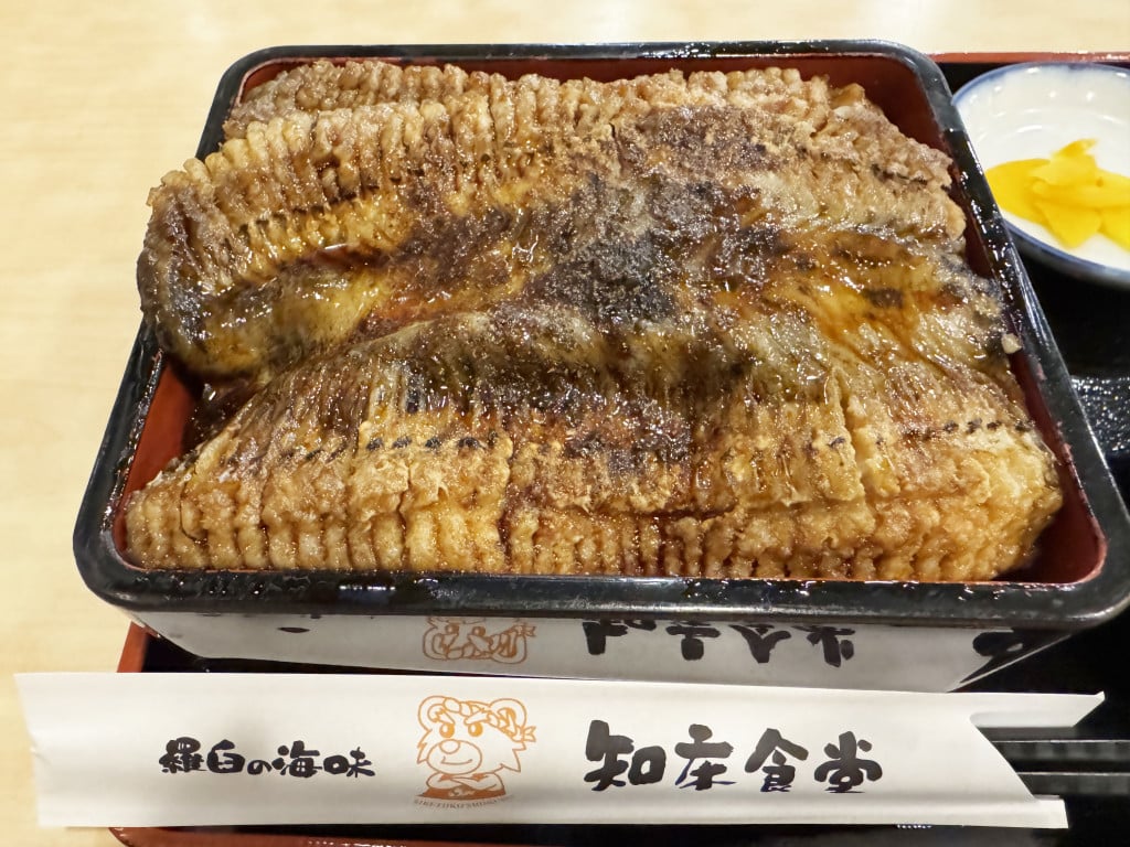 チョー偶然捕獲されるチョー深海魚でチョー希少なチョー黒ハモの「黒ハモ丼」がチョーうまい件 / チョー北海道羅臼町