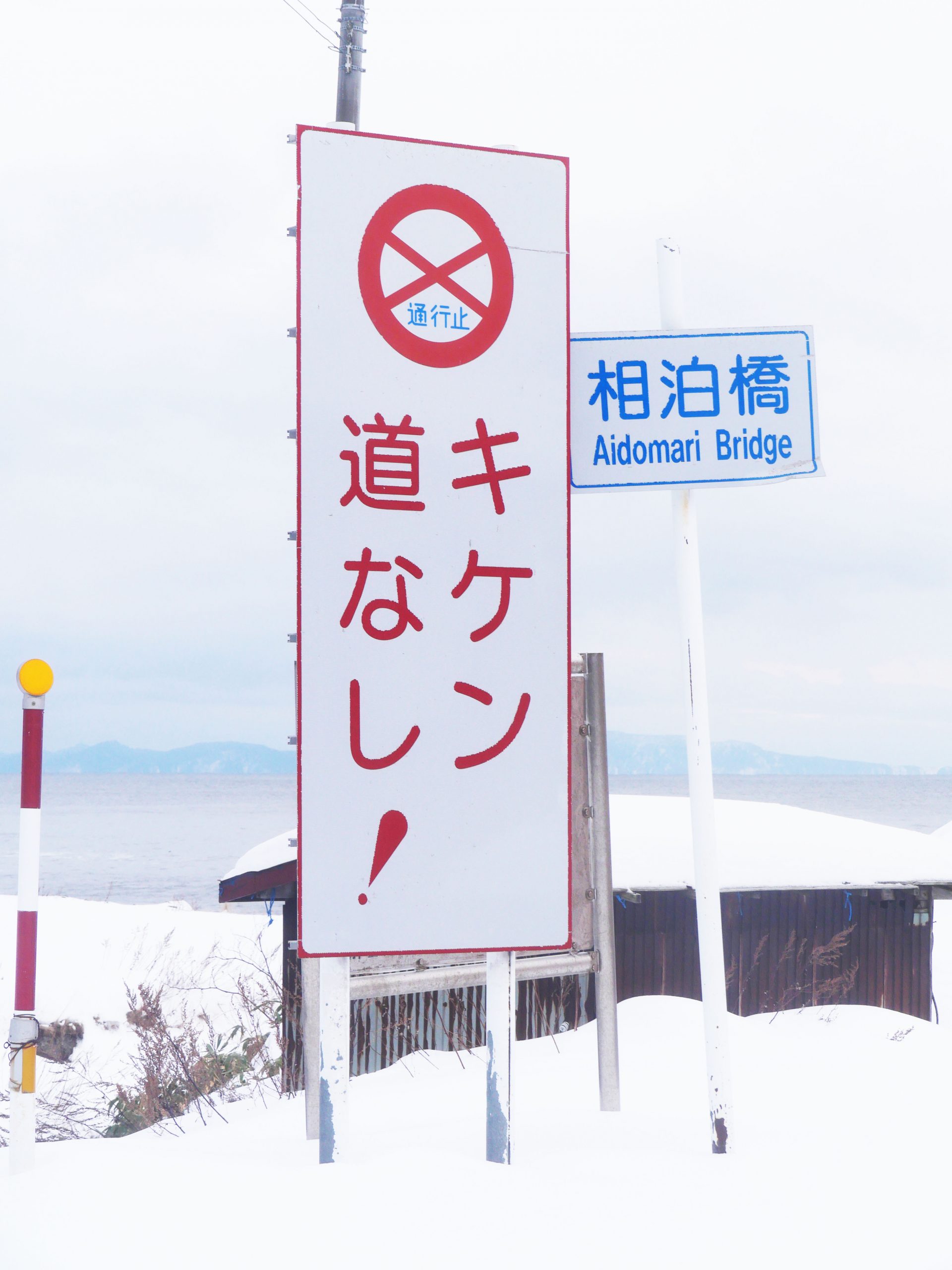 世界有数の高密度ヒグマ生息地 / 美しき雪化粧の北海道・知床先端部地区を撮影