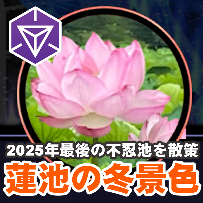 『Ingress』冬の蓮池をめぐる!! マルチタスクで挑む今年最後のセカンドサンデーリポート