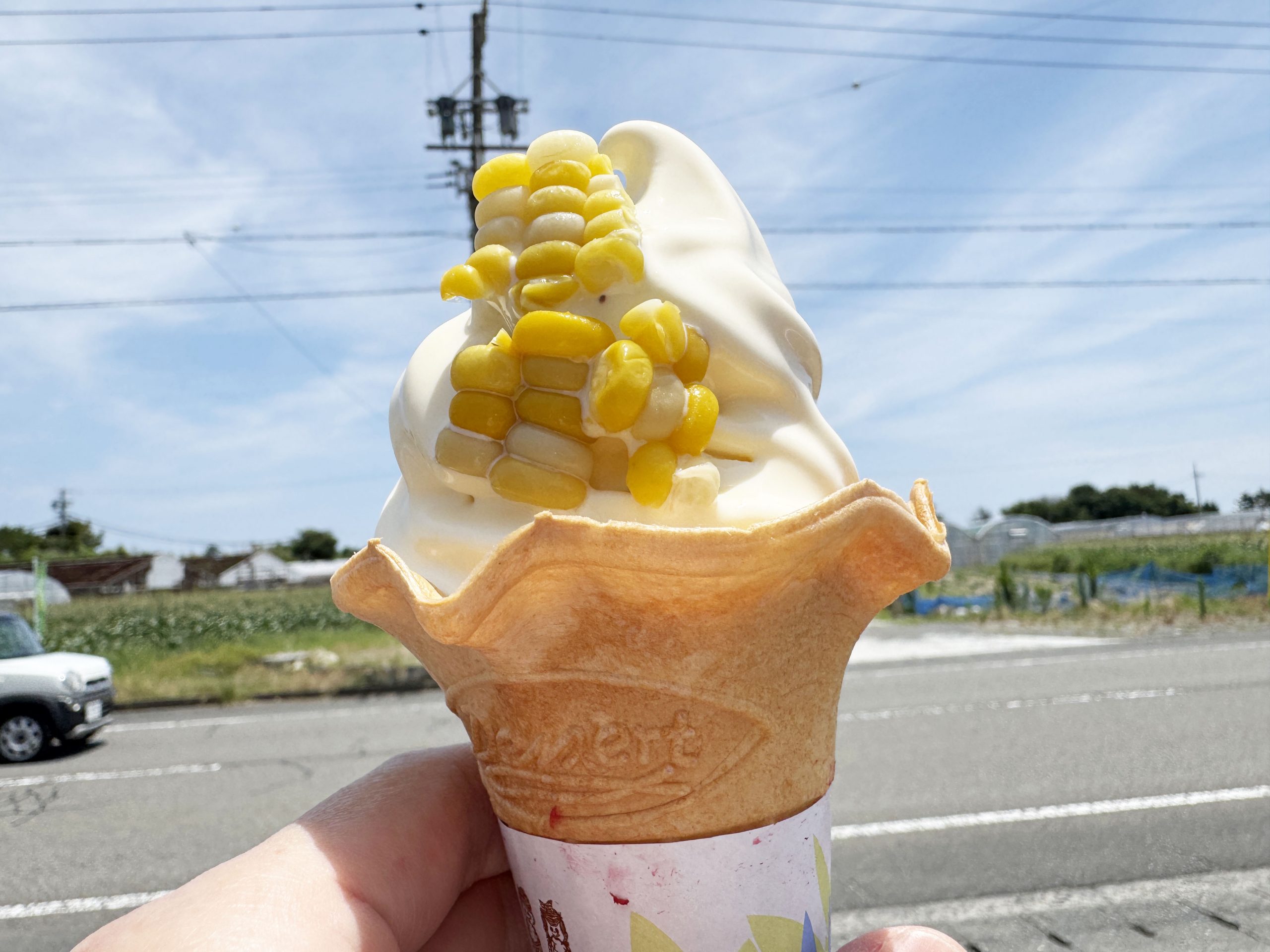 【美味スイーツ】静岡県でトップレベルのおいしいソフトクリームが食べられる秘密の店 / 牧之原市片浜の「もろこし屋せんちゃん」