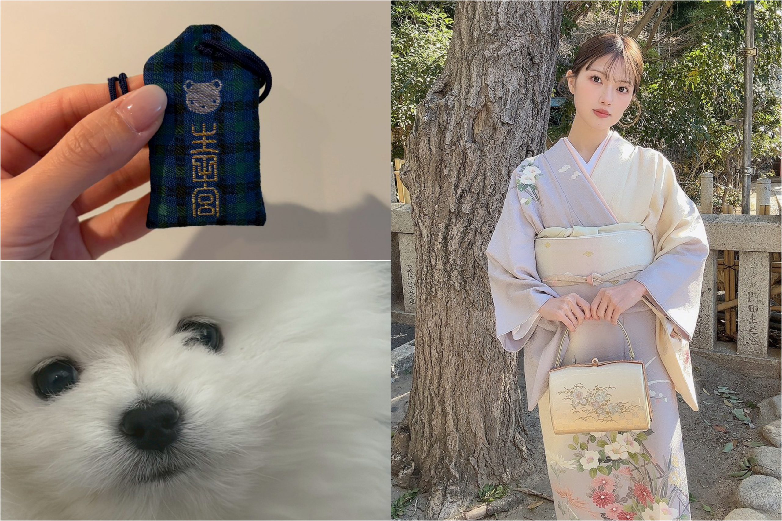 神戸・生田神社で初詣と厄祓い　「ファミリア」とのコラボお守りを愛犬へ