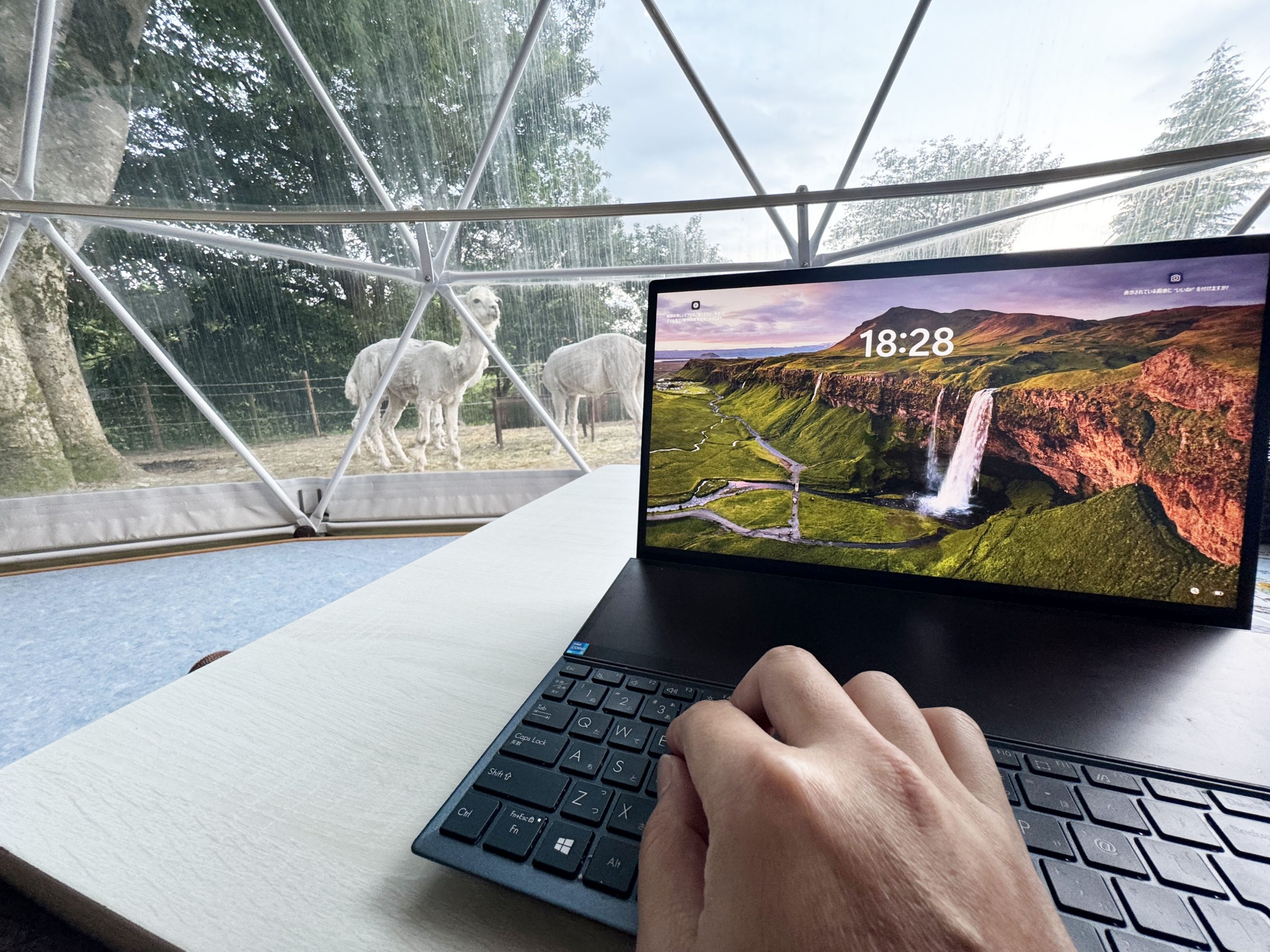 生きたアルパカと寝泊まりできるグランピングが最高すぎた件→ 仕事中も寝ても覚めてもずっとアルパカ笑