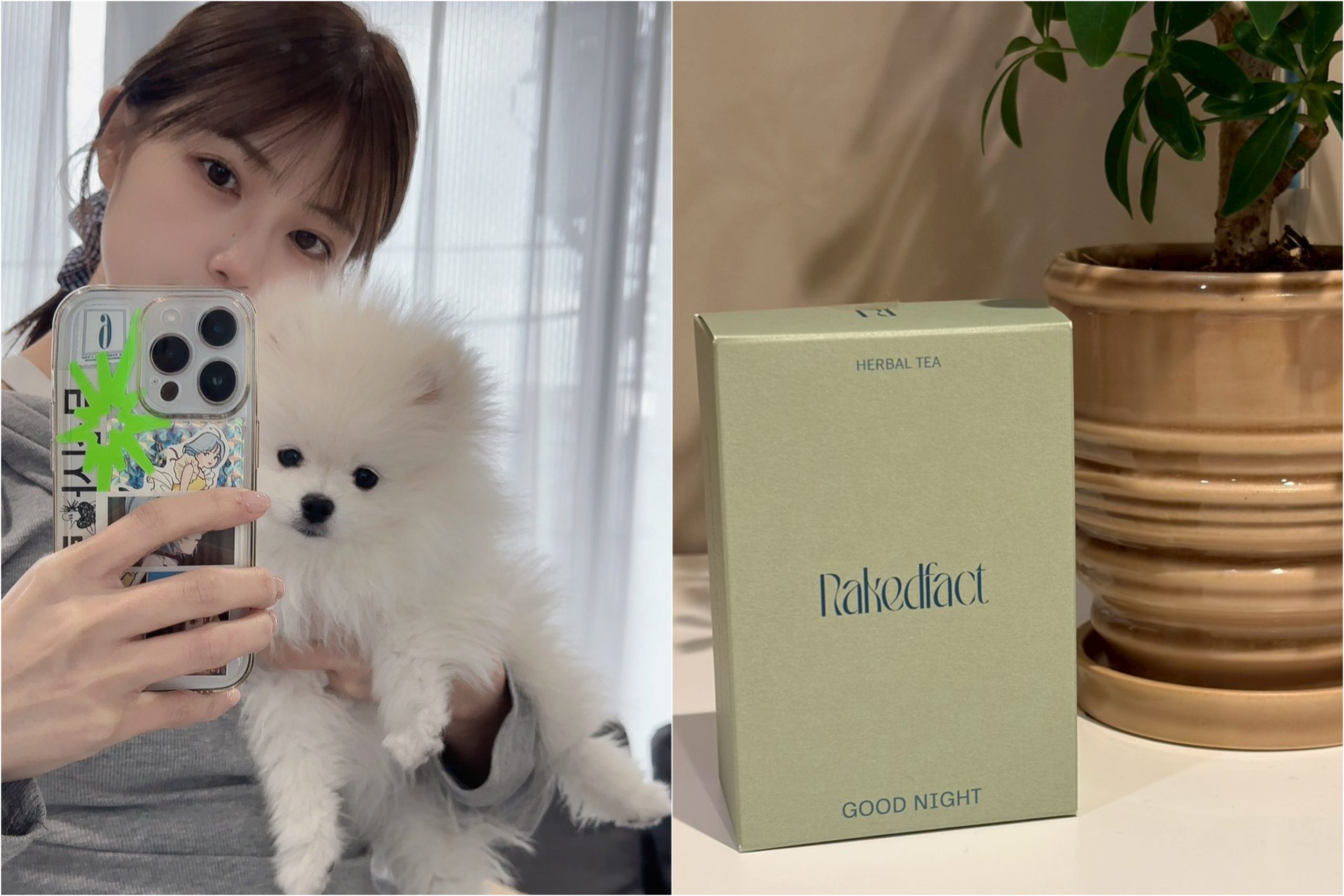 寝る前に飲むお茶、愛犬と楽しめる香り、憧れのホテル…寒い冬を乗り切る“癒しTIPs”