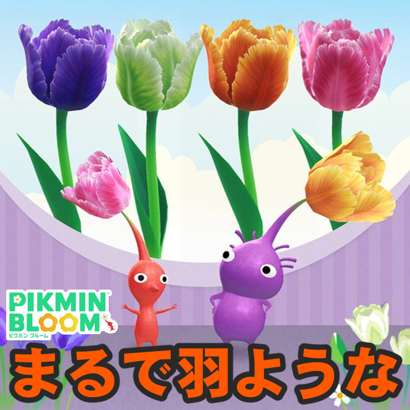 『ピクミン ブルーム』チューリップだけどなんか違う!! パーロット咲きな2026年4月の最新環境ガイド【プレイログ#1113】