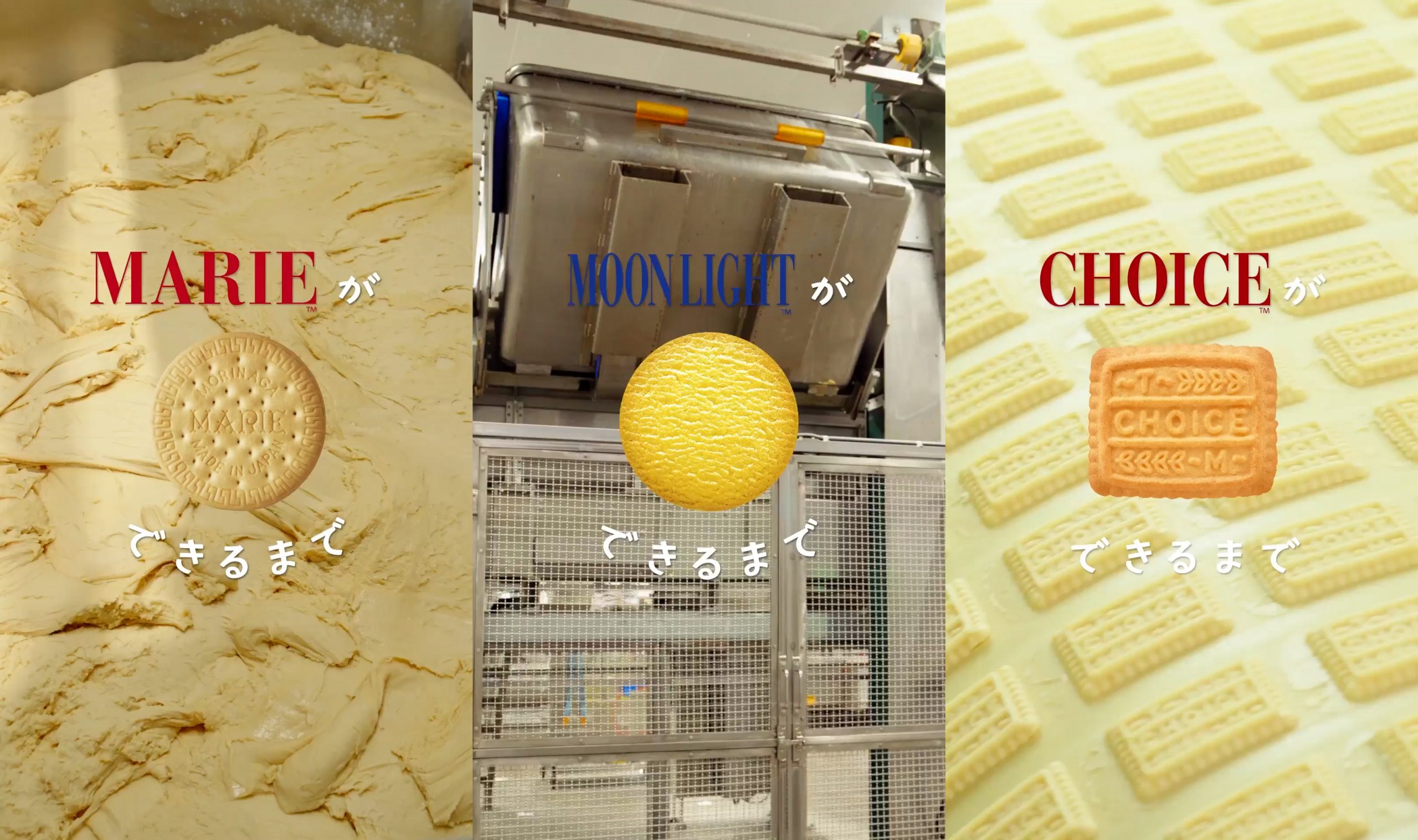 いつも食べている“おやつ”の誕生過程がわかる！人気ビスケット製造工場の裏側をショート動画で公開