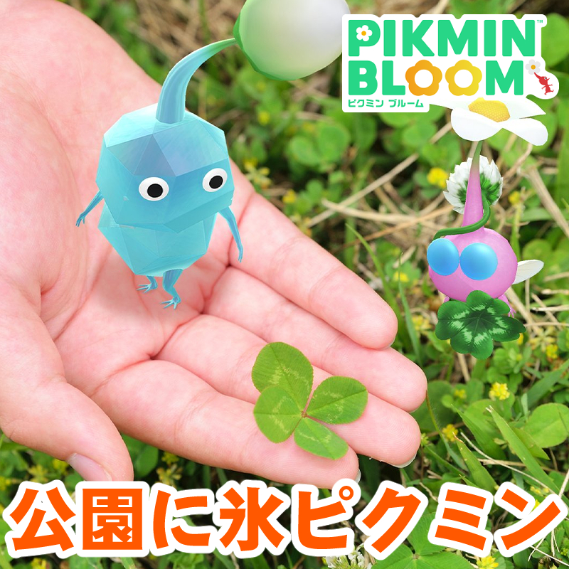 『ピクミン ブルーム』公園に氷ピクミン!! 四葉を含むクローバーのデコが勢揃いした最新環境ガイド【プレイログ#1120】