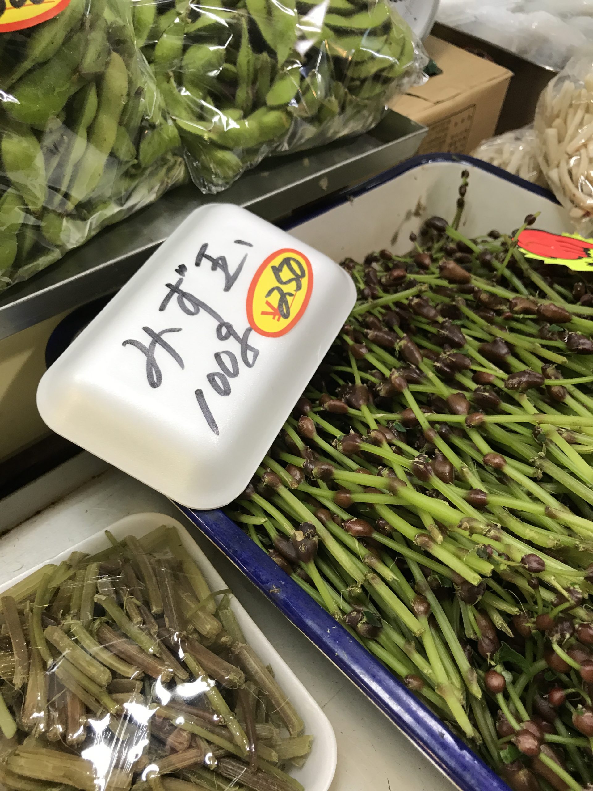 【秋田・佐渡・岩手・青森編】地方に行ってこういうのが売られていると「いま地方にいるな」って思えて癒やされるよなあ