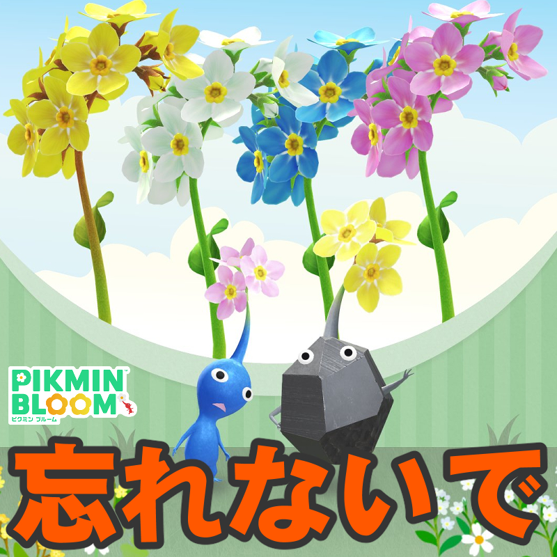 『ピクミン ブルーム』僕のことを忘れないで!? 名前の由来が悲しすぎるワスレナグサが咲く2026年5月の最新環境ガイド【プレイログ#1124】