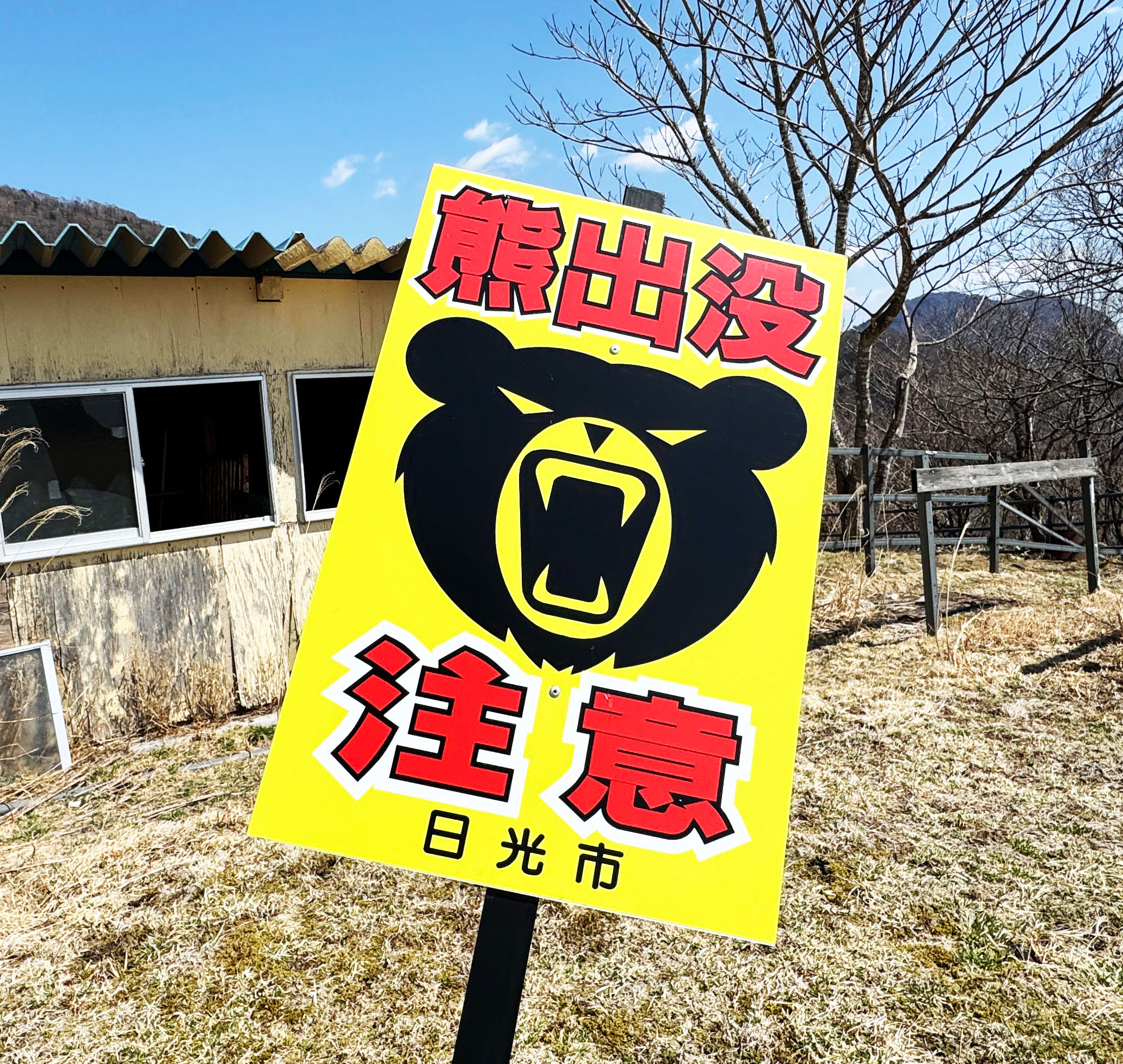 クマ出没注意看板コレクターの収集レポート / 2026年現在→ いままで何回ぐらい熊に遭遇したのか