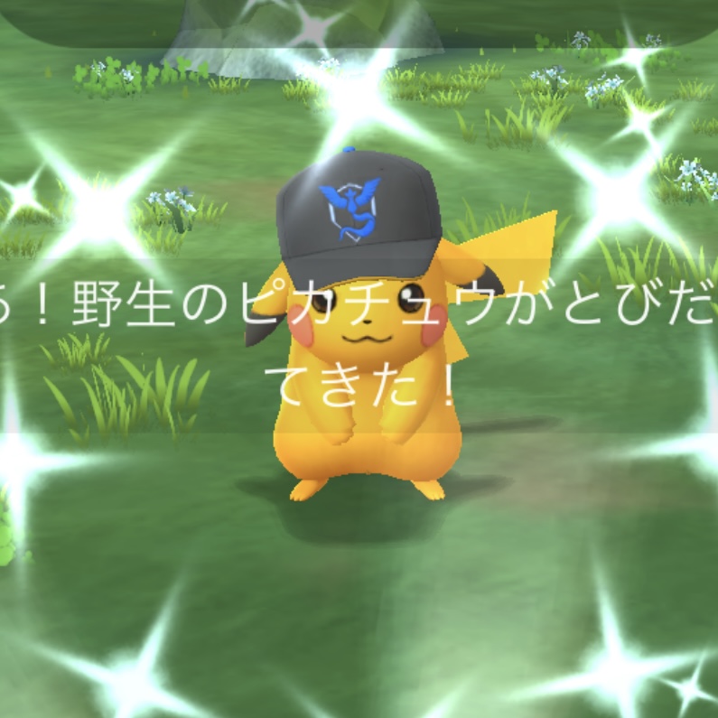 GOフェス東京でやるべきことまとめ / コスピカと公園メガレイドを忘れなければOK【ポケモンGO】