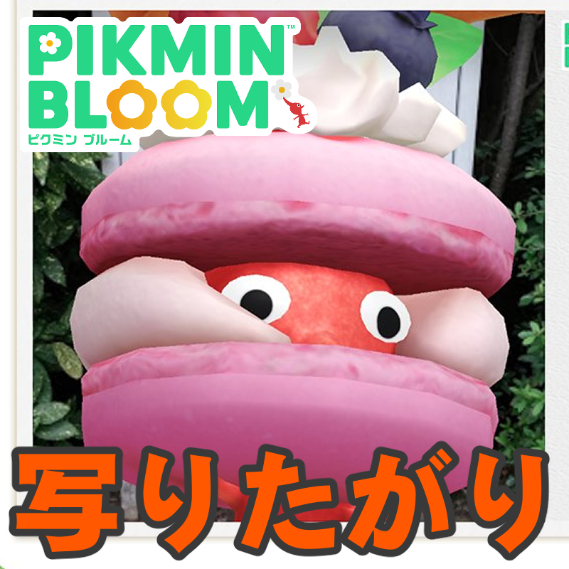 『ピクミン ブルーム』ドアップで攻めていけ!! 大人気な構図がテーマに選ばれちゃった最新の公式SNS企画ガイド【プレイログ#1145】